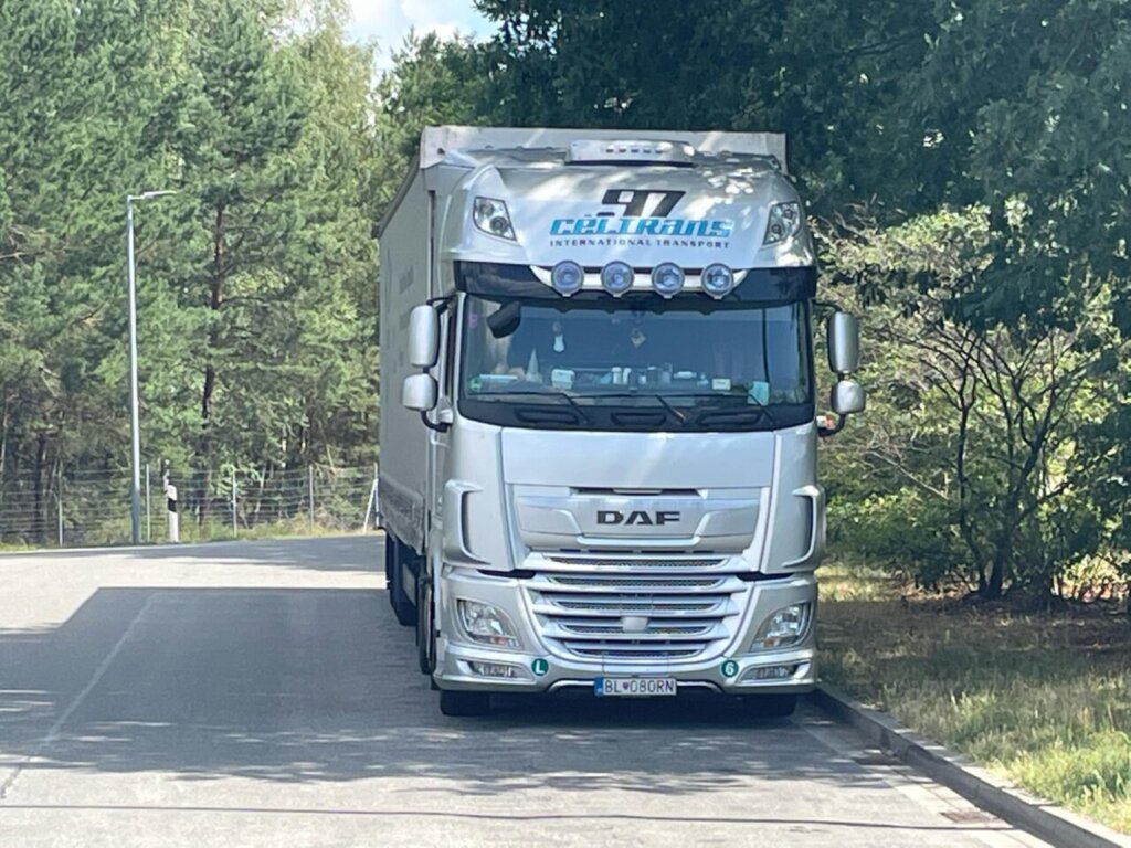 Canicule : le réseau de transport allemand sous tension, alerte le DSLV